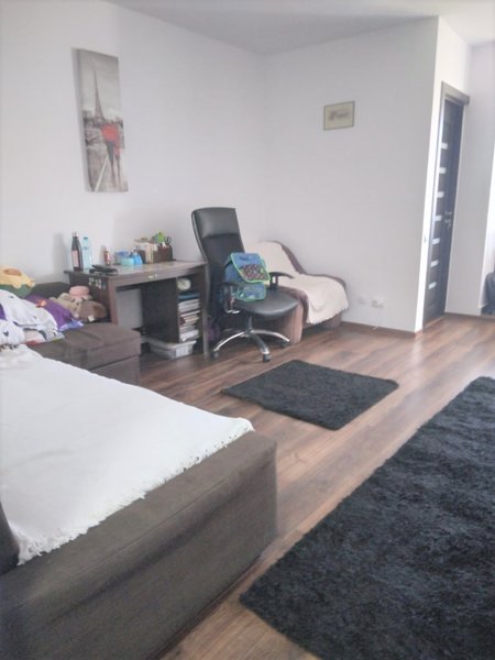 Drumul Taberei, Favorit,